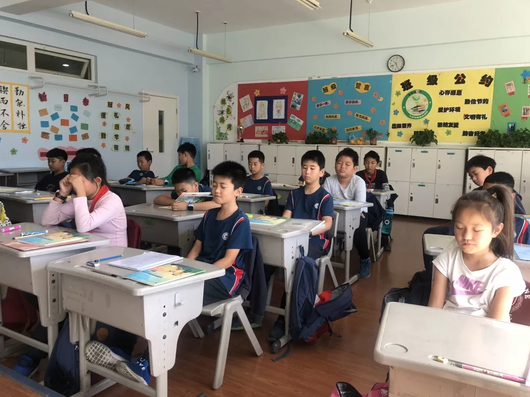 公立小学高年级插班北京国际学校注意事项有哪些？