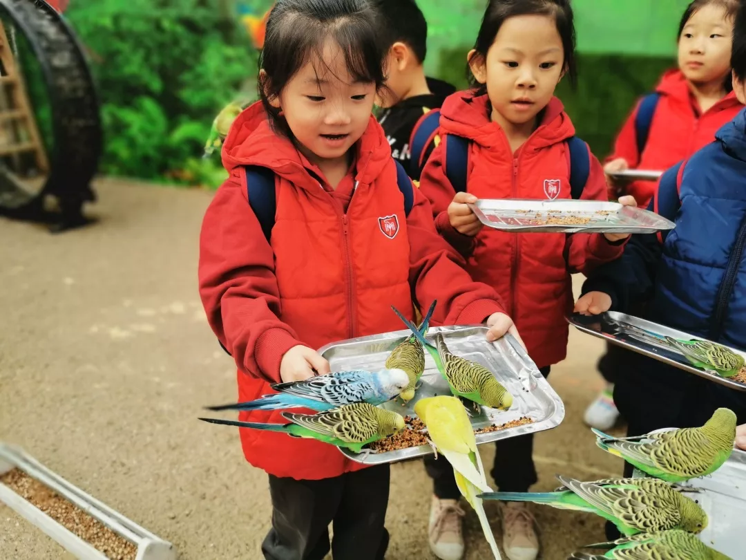 【力迈九华】远离城市喧嚣，感受自然美丽—力迈幼儿园大自然亲近课(图5)