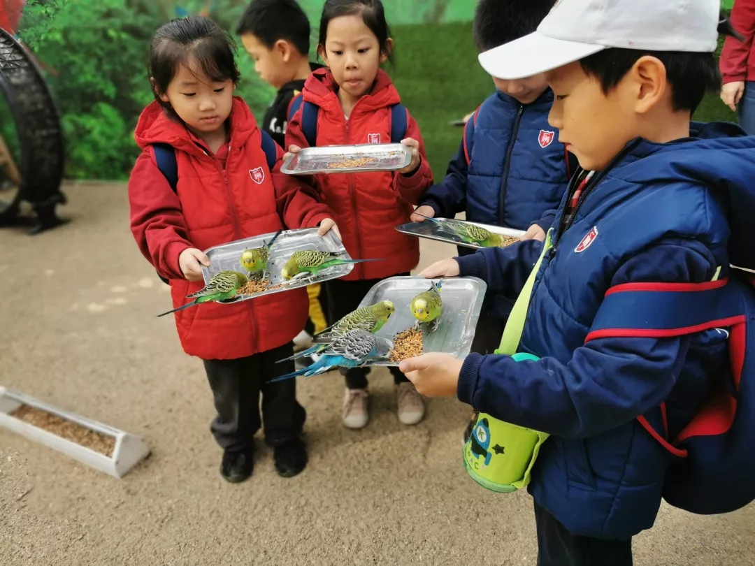 【力迈九华】远离城市喧嚣，感受自然美丽—力迈幼儿园大自然亲近课(图6)