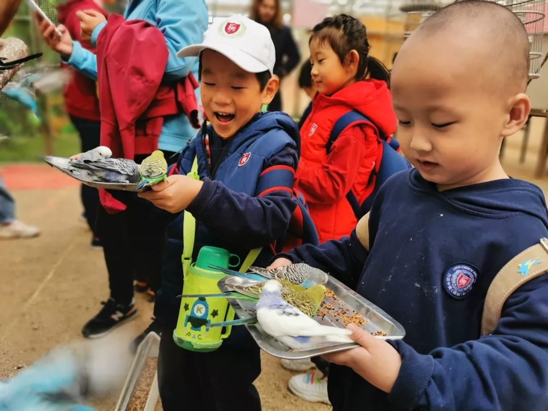 【力迈九华】远离城市喧嚣，感受自然美丽—力迈幼儿园大自然亲近课(图7)