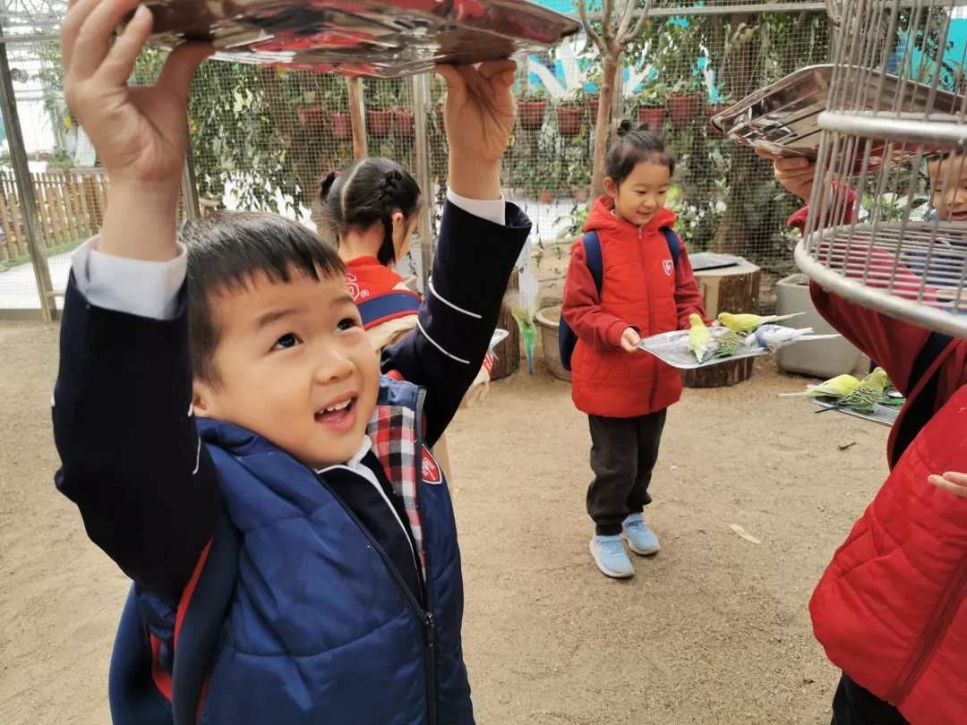 【力迈九华】远离城市喧嚣，感受自然美丽—力迈幼儿园大自然亲近课(图10)