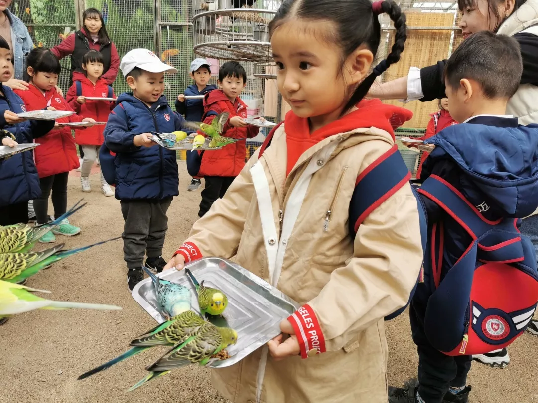 【力迈九华】远离城市喧嚣，感受自然美丽—力迈幼儿园大自然亲近课(图11)