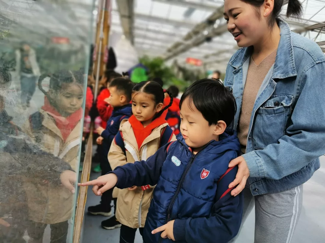 【力迈九华】远离城市喧嚣，感受自然美丽—力迈幼儿园大自然亲近课(图12)