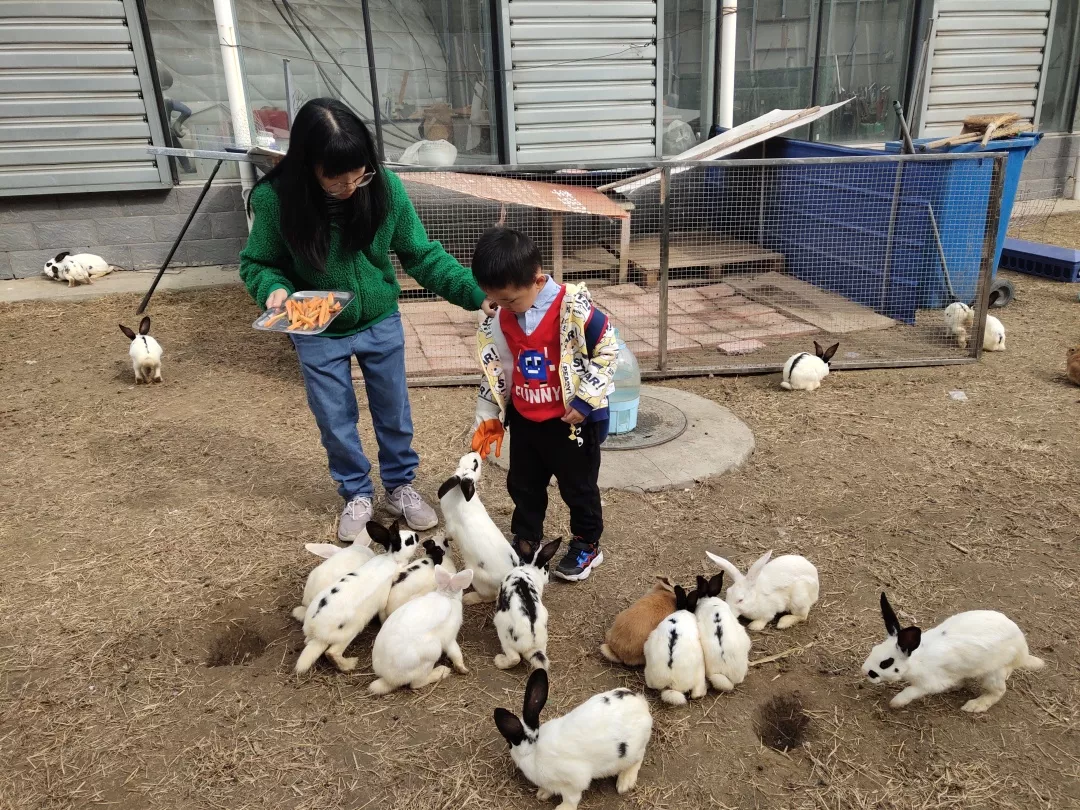 【力迈九华】远离城市喧嚣，感受自然美丽—力迈幼儿园大自然亲近课(图20)