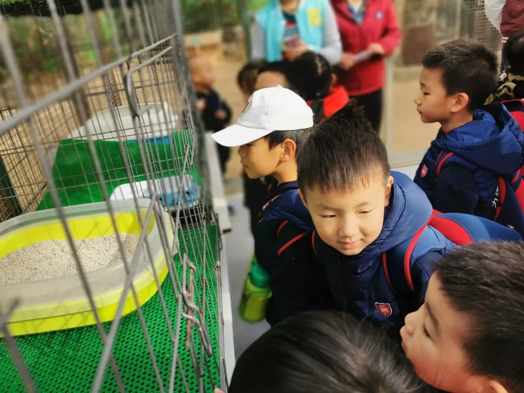 【力迈九华】远离城市喧嚣，感受自然美丽—力迈幼儿园大自然亲近课(图24)