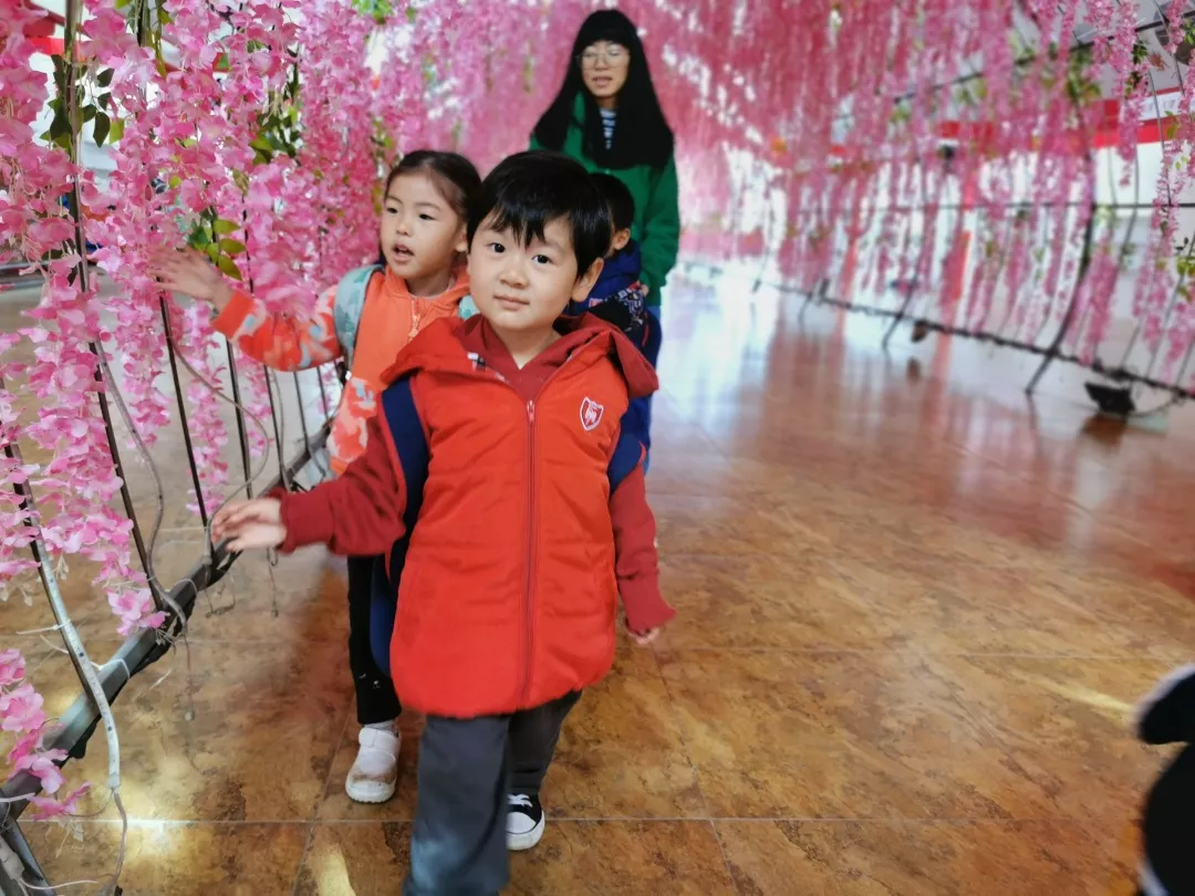 【力迈九华】远离城市喧嚣，感受自然美丽—力迈幼儿园大自然亲近课(图27)