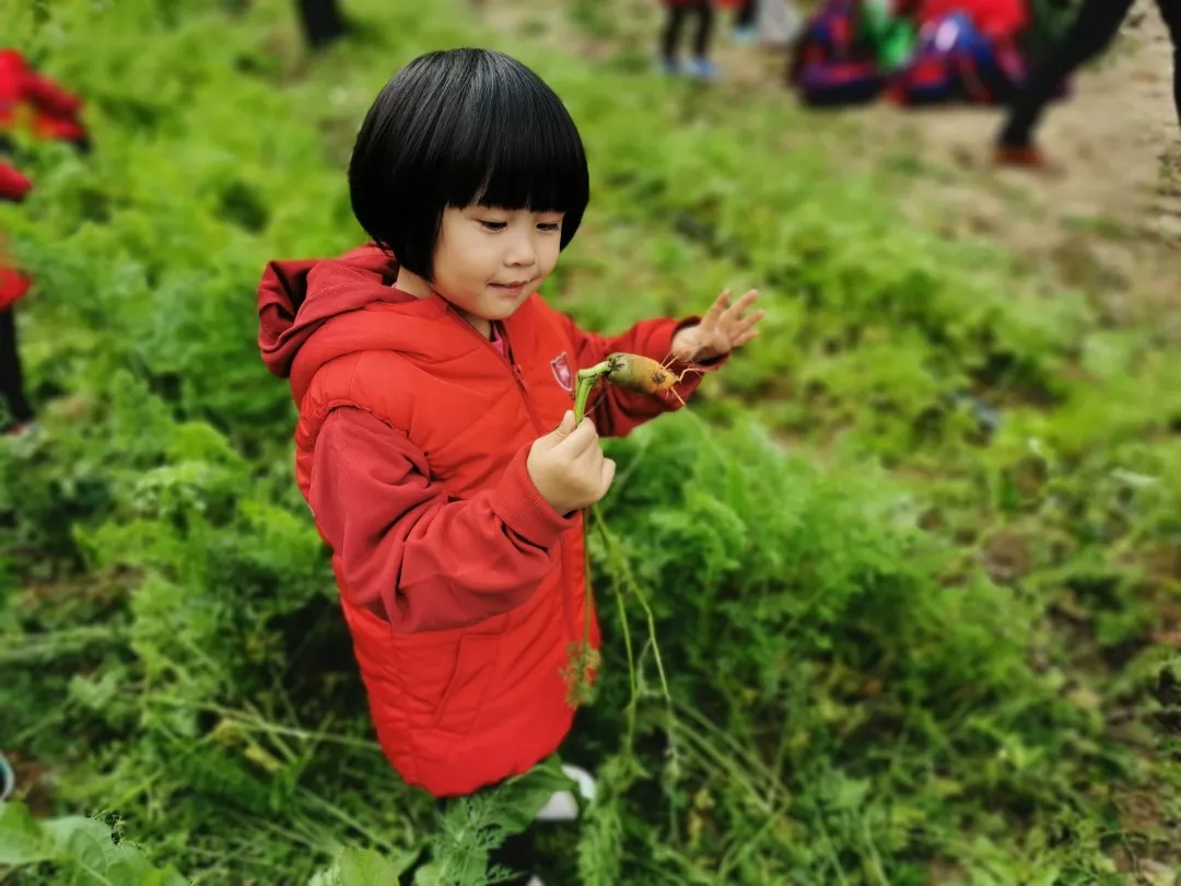 【力迈九华】远离城市喧嚣，感受自然美丽—力迈幼儿园大自然亲近课(图39)