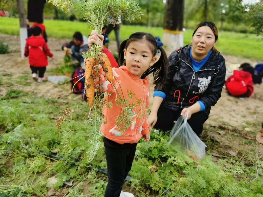 【力迈九华】远离城市喧嚣，感受自然美丽—力迈幼儿园大自然亲近课(图40)