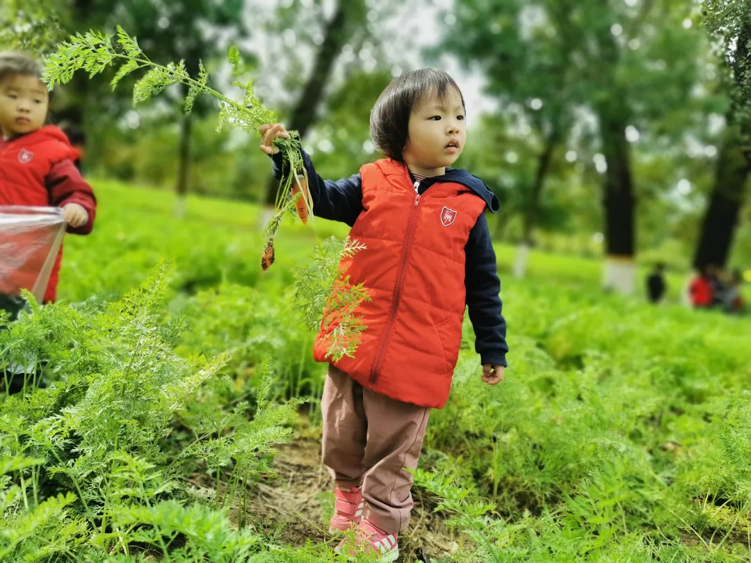 【力迈九华】远离城市喧嚣，感受自然美丽—力迈幼儿园大自然亲近课(图41)