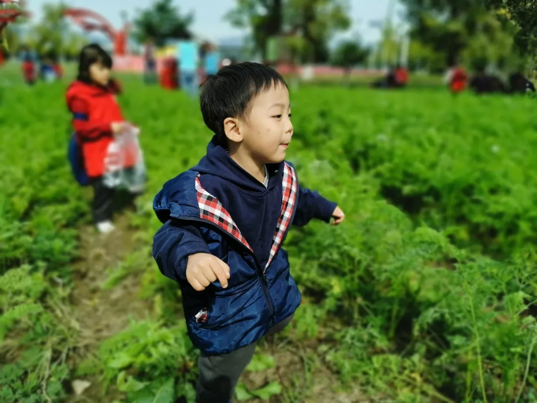 【力迈九华】远离城市喧嚣，感受自然美丽—力迈幼儿园大自然亲近课(图42)