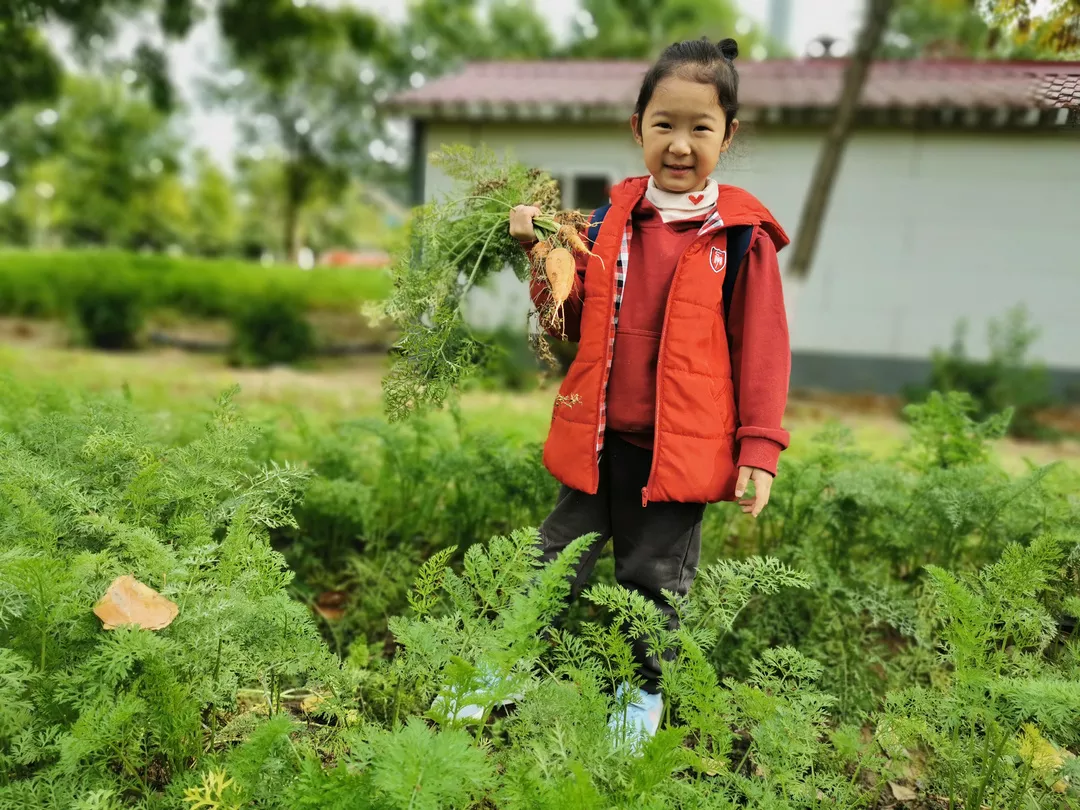 【力迈九华】远离城市喧嚣，感受自然美丽—力迈幼儿园大自然亲近课(图44)