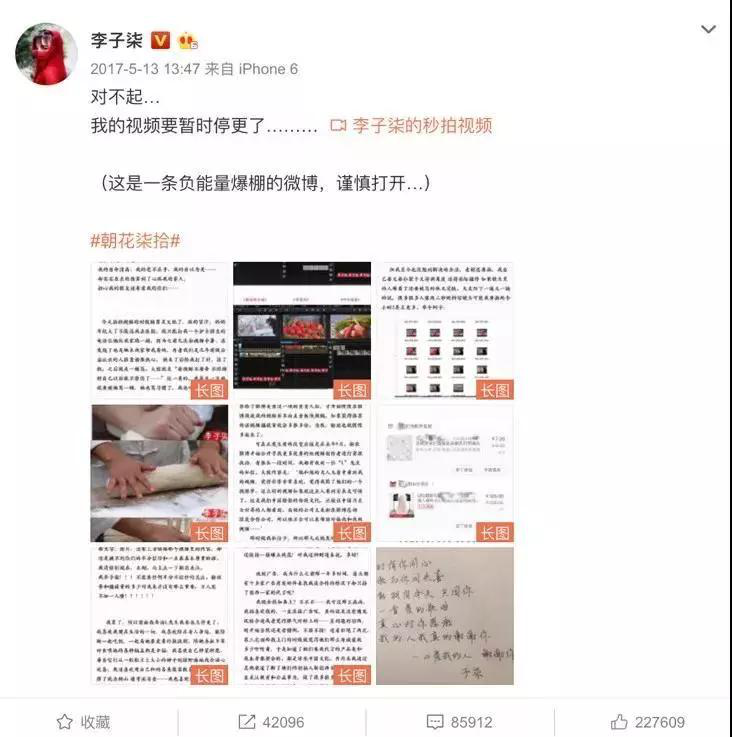 【力迈推荐】被央视点名表扬，李子柒成功路上的坚持你看到了吗？(图11)