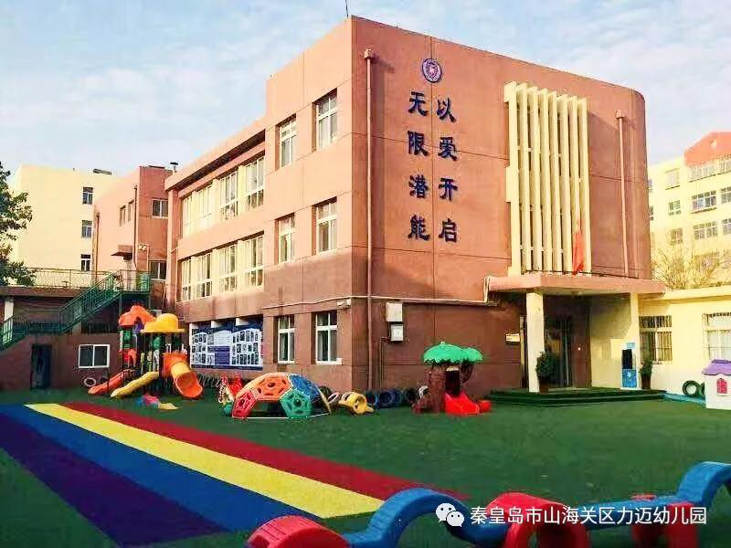 力迈幼儿园：幼儿足球嘉年华活动获奖通报(图7)