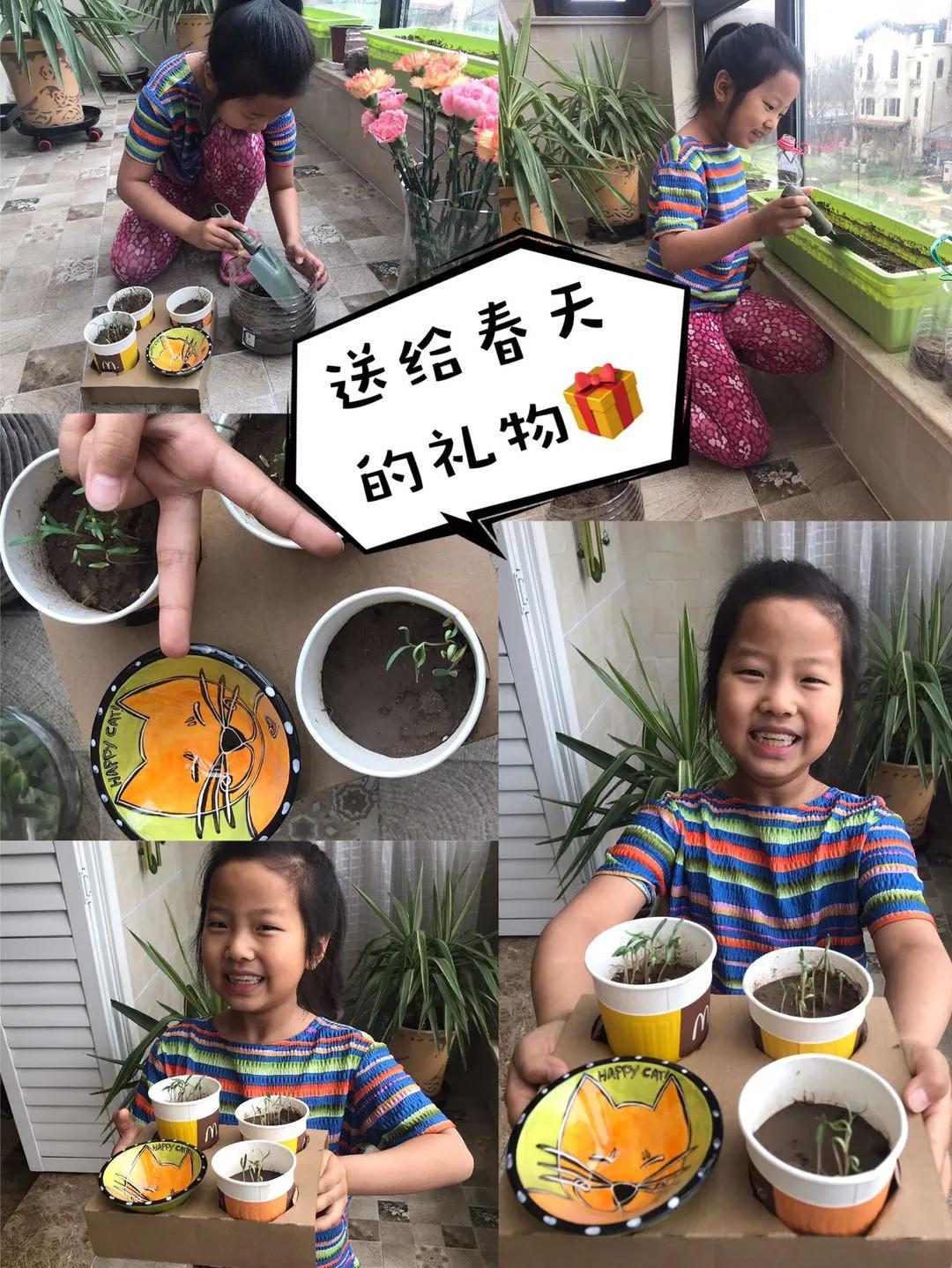 茵茵春色醉人间，幽幽情怀入家园/力迈中美学校环保教育月彩蛋(图8)
