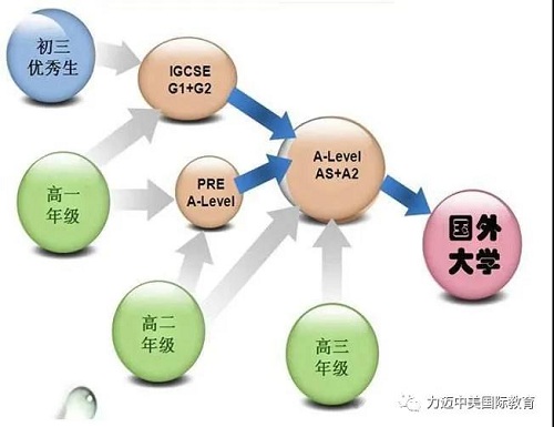 拥有英美双升优势，力迈国际高中新增A-Level荣誉课程(图6)