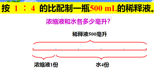 跨学科的探究课|力迈中美国际学校STEAM课程系列八(图27)