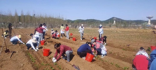 欢乐农场，青春作伴|力迈中美国际学校班主任党史培训团建活动(图18)