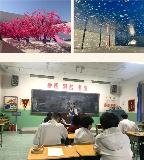 Limai School Field Trip | 历史文学照进现实，乐高化身“三头六臂”，力迈春季实践活动之聚焦人文科学！(图12)